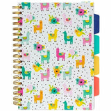 Pukka Pads B5 Colour Wash Project Book, 0.31" Ruled, 6 59/64" x 9 27/32", Gold Binding, Color Wash, Llama, Stripe Cover, 3/Pack (PKP9032CD) Pack of 3