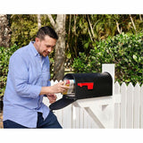 FLEX SEAL Liquid Rubber Sealant Coating Spray, 0.87 lb, Black, Synthetic Rubber (FLXFSR20) Case of 6