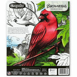 Crayola Bird Watching Coloring Book Printed Book, 40 Pages (CYO041133) Each