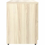 Lorell Essentials 2-Drawer Lateral File, Modern Elm (LLR66335) Each