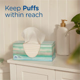 Puffs Plus Lotion Facial Tissue, White, 24/Carton (PGC58600) Case of 24
