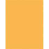 Sparco Premium Grade Pastel Color Copy Paper, 20Lb, 8 1/2 x 11, 10 RM/CT, Goldenrod (SPR05125CT) 10 Reams
