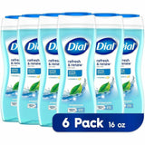 Dial Refresh & Renew Body Wash, Spring Water Scent, 16 fl oz, 6/Carton (DIA02653CT) Case of 6