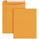 Business Source Kraft Peel-and-Stick Catalog Envelopes, Catalog, 10" Width x 13" Length, Peel & Stick, Brown, Kraft Paper, 100/Box (BSN40099) Box of 100