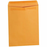 Business Source Self-Seal Catalog Envelopes, Catalog, #28, 9" Width x 12" Length, Kraft, 250/Box (BSN35290) Box of 250