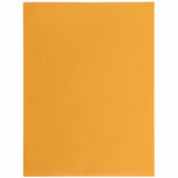 Business Source Self-Seal Catalog Envelopes, Catalog, 9" Width x 12" Lengtht, 250/Carton (BSN35269) Case of 250