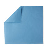 McKesson Sterilization Wrap Blue 20 X 20 Inch Single Layer Cellulose Steam / EO Gas (1156125_BX) 1/BX