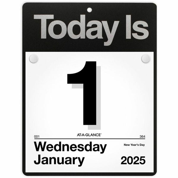 Today Is Wall Calendar, 9.5 x 12, White Sheets, 12-Month (Jan to Dec): 2025 (AAGK400) Each