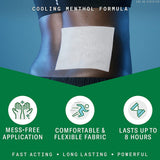 Biofreeze® Topical Pain Relief 5% Strength Menthol Patch 5 per Box (1223463_BX) 5/BX