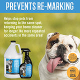 Tough Stuff® Urine Odor & Stain Eliminator, Original, 1 Gallon Bottle (HOS128NTP) Each