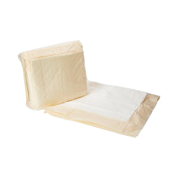Tranquility® Essential Disposable Underpad 36 X 36 Inch Super Absorbent Material Moderate Absorbency (696237_BG) 10/BG