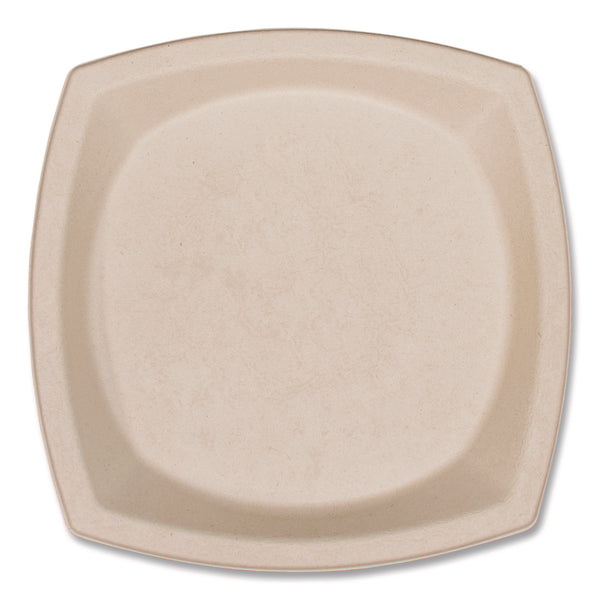Dart Compostable Fiber Dinnerware, ProPlanet Seal, Plate, 10 x 10, Tan, 500/Carton (DCC10PSC1PF) Case of 4