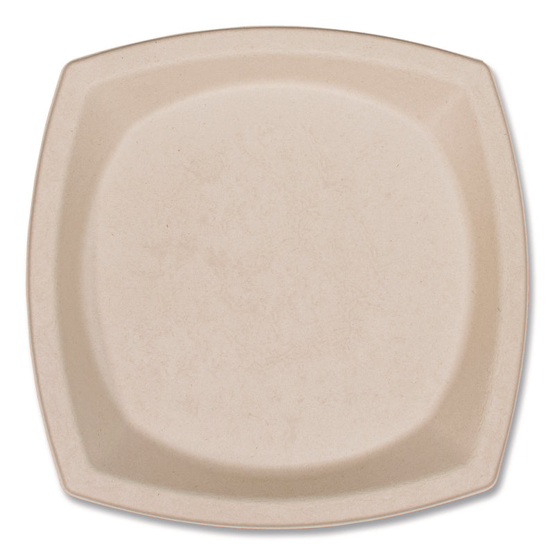 Dart Compostable Fiber Dinnerware, ProPlanet Seal, Plate, 10 x 10, Tan, 500/Carton (DCC10PSC1PF) Case of 4