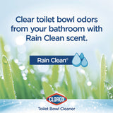 Clorox® Disinfecting Toilet Bowl Cleaner with Bleach, Rain Clean Scent, 24 oz Bottle, 2/Pack (CLO30924)