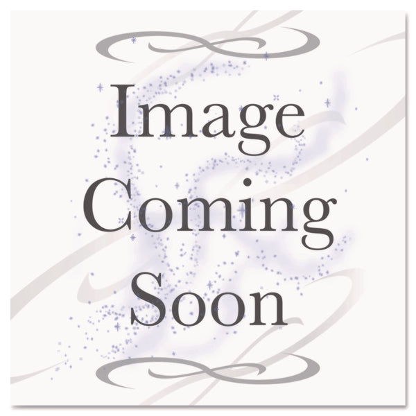 CONTROLTEK® Currency Straps, $20 Bill, $2,000, Self-Adhesive, 1,000/Pack (CNK560021) Pack of 1000