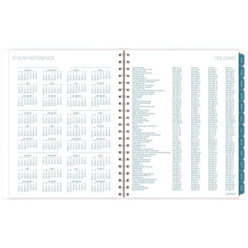 Cambridge® Glacier Weekly/Monthly Planner, Glacier Artwork, 11" x 9.25", Blue/Gray/Silver Cover, 12-Month (Jan to Dec): 2025 (AAG1727905) Each