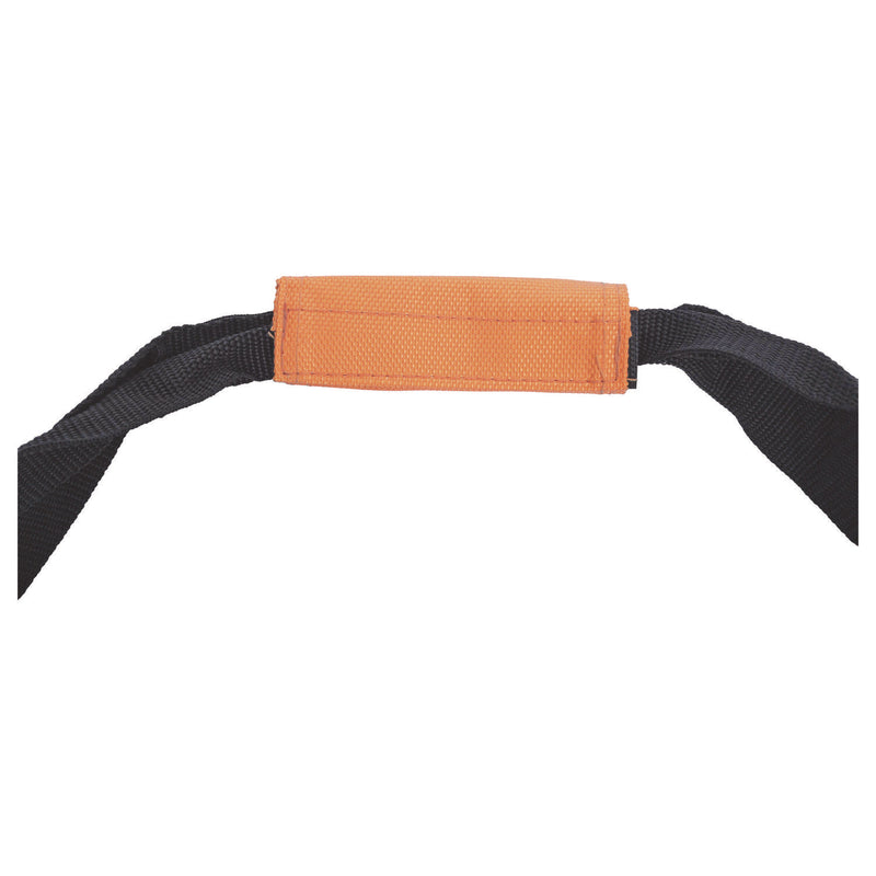 Champion Sports Forged Steel Horseshoe Set, 4 Horseshoes/2 Stakes/Carry Bag/Rules Sheet (CSICG210) Each