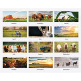 House of Doolittle™ 100% Recycled Farm Life Wall Calendar, 11 x 14, White/Multicolor Sheets, 12-Month (Jan-Dec): 2026 (HOD316) Each