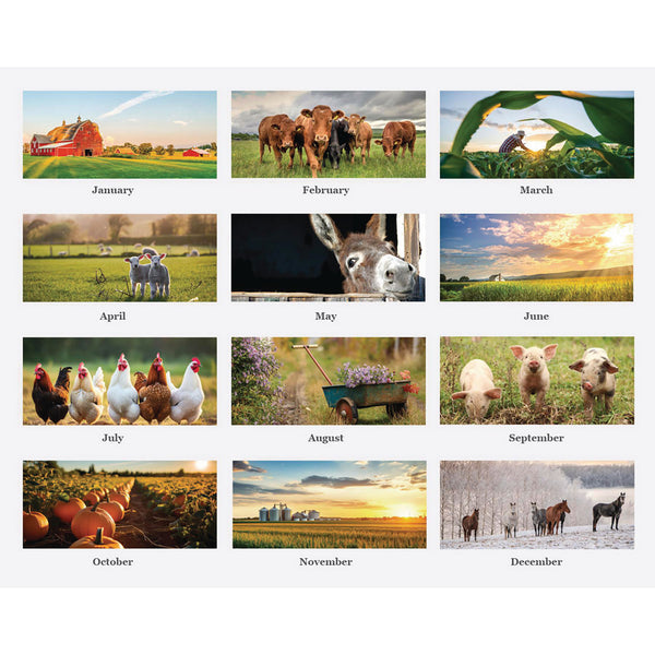 House of Doolittle™ 100% Recycled Farm Life Wall Calendar, 11 x 14, White/Multicolor Sheets, 12-Month (Jan-Dec): 2026 (HOD316) Each