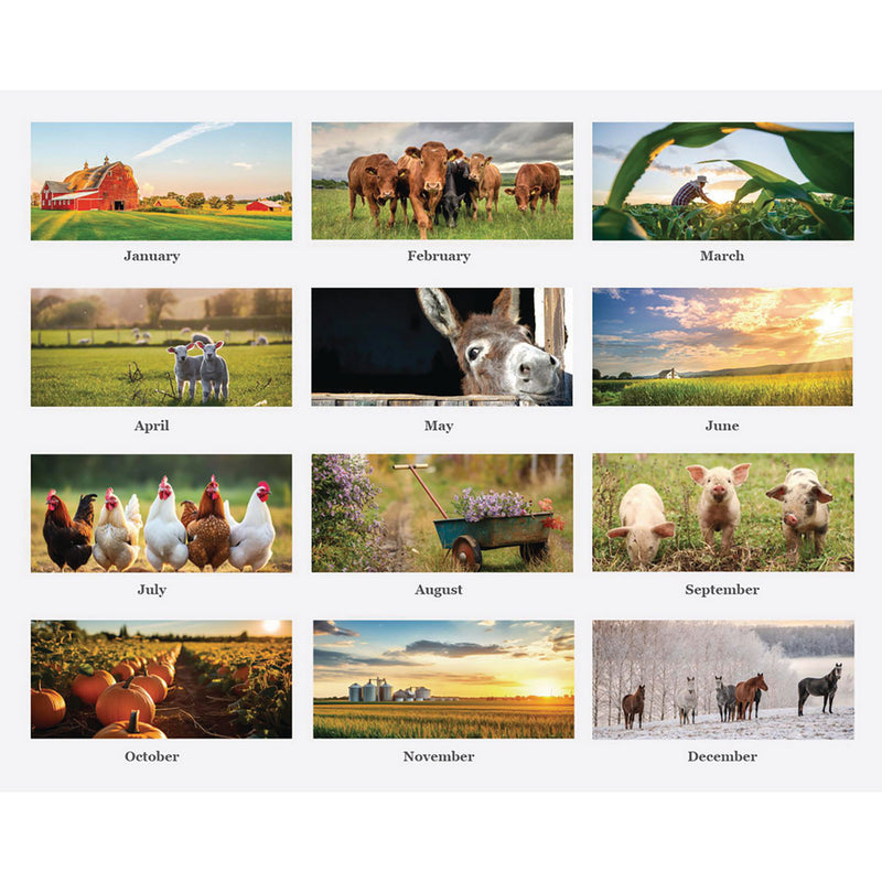 House of Doolittle™ 100% Recycled Farm Life Wall Calendar, 11 x 14, White/Multicolor Sheets, 12-Month (Jan-Dec): 2026 (HOD316) Each
