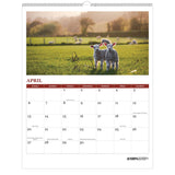 House of Doolittle™ 100% Recycled Farm Life Wall Calendar, 11 x 14, White/Multicolor Sheets, 12-Month (Jan-Dec): 2026 (HOD316) Each