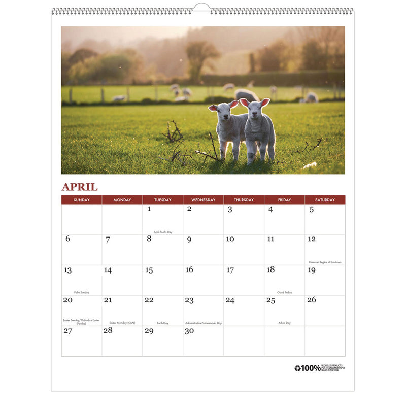 House of Doolittle™ 100% Recycled Farm Life Wall Calendar, 11 x 14, White/Multicolor Sheets, 12-Month (Jan-Dec): 2026 (HOD316) Each
