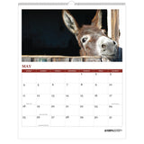 House of Doolittle™ 100% Recycled Farm Life Wall Calendar, 11 x 14, White/Multicolor Sheets, 12-Month (Jan-Dec): 2026 (HOD316) Each