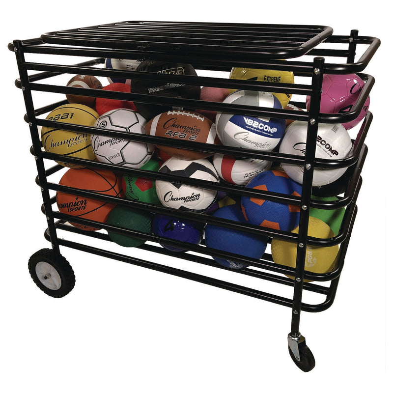 Champion Sports Ultimate Lockable Ball Locker, 24" x 44" x 39", Black (CSIUBX) Each