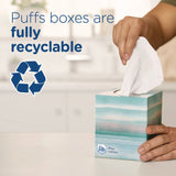 Puffs® Plus Lotion Facial Tissue, 2-Ply, White, 124 Sheets/Box, 24 Boxes/Carton (PGC39346) Case of 24