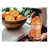 Angry Orange Pet Odor Eliminator Spray, Fresh Orange Blast Scent, 20 oz Spray Bottle (IDEAOR20OZ) Each