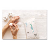 WellUp Regular Cotton Ball, 300/Pack (WEUW11300300) Each