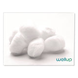 WellUp Regular Cotton Ball, 300/Pack (WEUW11300300) Each
