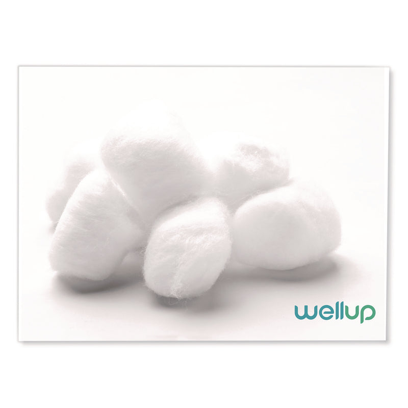 WellUp Regular Cotton Ball, 300/Pack (WEUW11300300) Each
