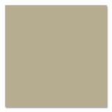 Rust-Oleum® Camouflage Spray Paint, Flat Sand, 12 oz Aerosol Can (RST339004) Each