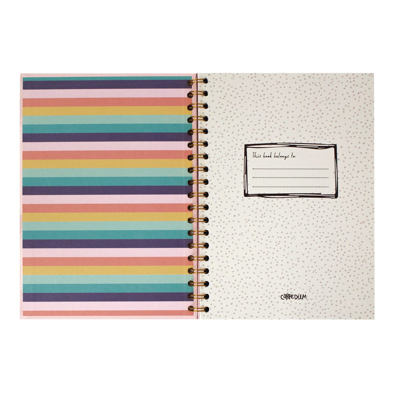 PUKKA PAD® B5 Size Notebook, 1 -Subject, Medium/College Rule, Pink Cover, (80) 9.8 x 6.9 Sheets, 3/Pack (PUK9376CD) Pack of 3