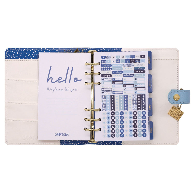 Personal Planner, Feathers, 7.48 x 6.42, Blue/Cream/Pink Cover, 12-Month, Undated (PUK9210CD) Each