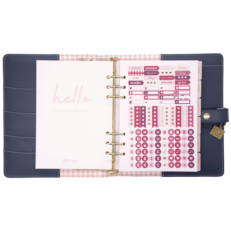 A5 Planner, Feathers, 10.24 x 9.25, Blue/Pink/White/Yellow Cover, 12-Month (PUK9198CD) Each