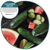 Fresh Products myfresh Refills, Cucumber Melon, 36/Carton (FRSMYF36CMCT) Case of 36