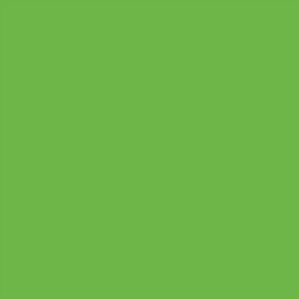 Rust-Oleum® Specialty Fluorescent Spray Paint, Flat Fluorescent Green, 11oz Aerosol Can (RST342417EA) Each