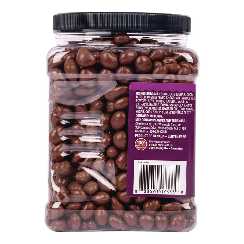 Wellsley Farms™ Milk Chocolate Covered Raisins, 50 oz Jar (GRR22002345) Each