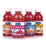 Ocean Spray® Tropical Variety Pack, Assorted Flavors, 10 oz Bottle, 24/Carton (GRR22002377) Case of 24