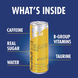 Red Bull® Editions Variety Pack, Assorted Flavors, 8.4 oz Can, 24/Carton (GRR22002380) Case of 24