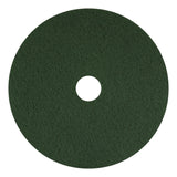 Scrubbing Pads, 13", Green, 5/Carton (AM7400313) Case of 5