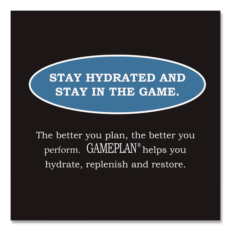 Gameplan Sports Drink, Mixed Berry, 20 oz Bottle, 24/Carton (NGBGMP20Z24PMB) Case of 24