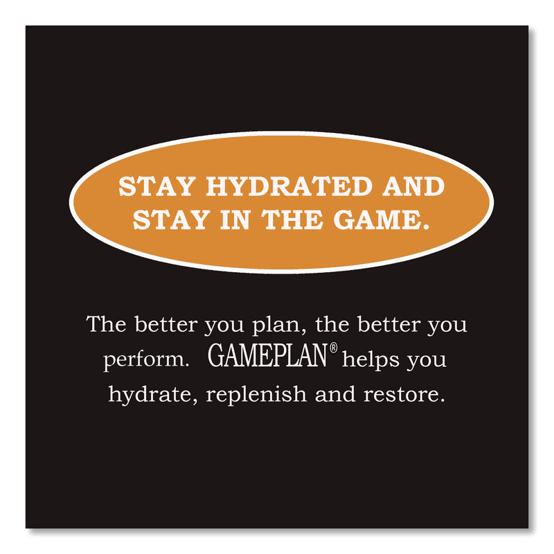 Gameplan Sports Drink, Orange, 20 oz Bottle, 24/Carton (NGBGMP20Z24POR) Case of 24