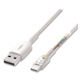 Belkin® BOOST CHARGE USB-C to USB-A Cable, 3.3 ft, White, 2/Pack (BLKCAB001BT1MWH) Each