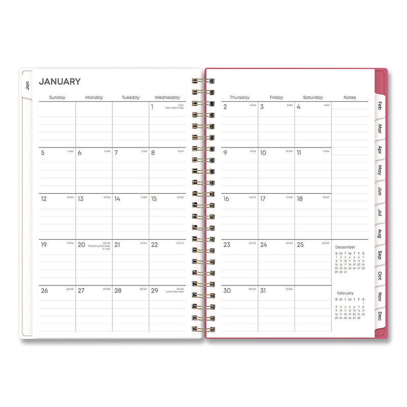 Amalia Weekly/Monthly Planner, Mandala Artwork, 8 x 5, Multicolor Cover, 12-Month (Jan to Dec): 2025 (BLS14876825) Each