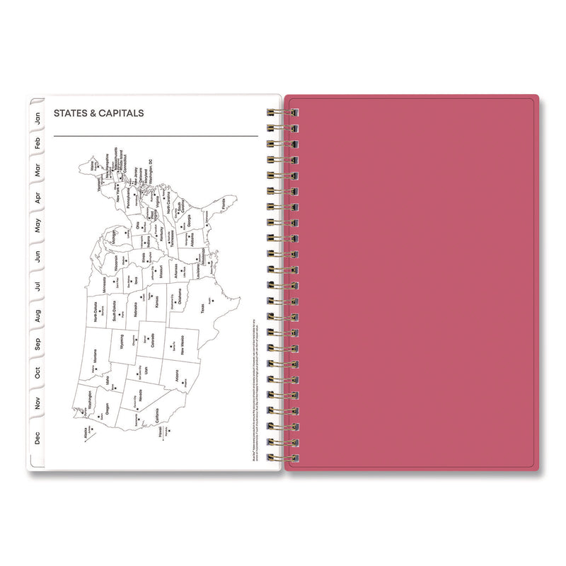 Amalia Weekly/Monthly Planner, Mandala Artwork, 8 x 5, Multicolor Cover, 12-Month (Jan to Dec): 2025 (BLS14876825) Each