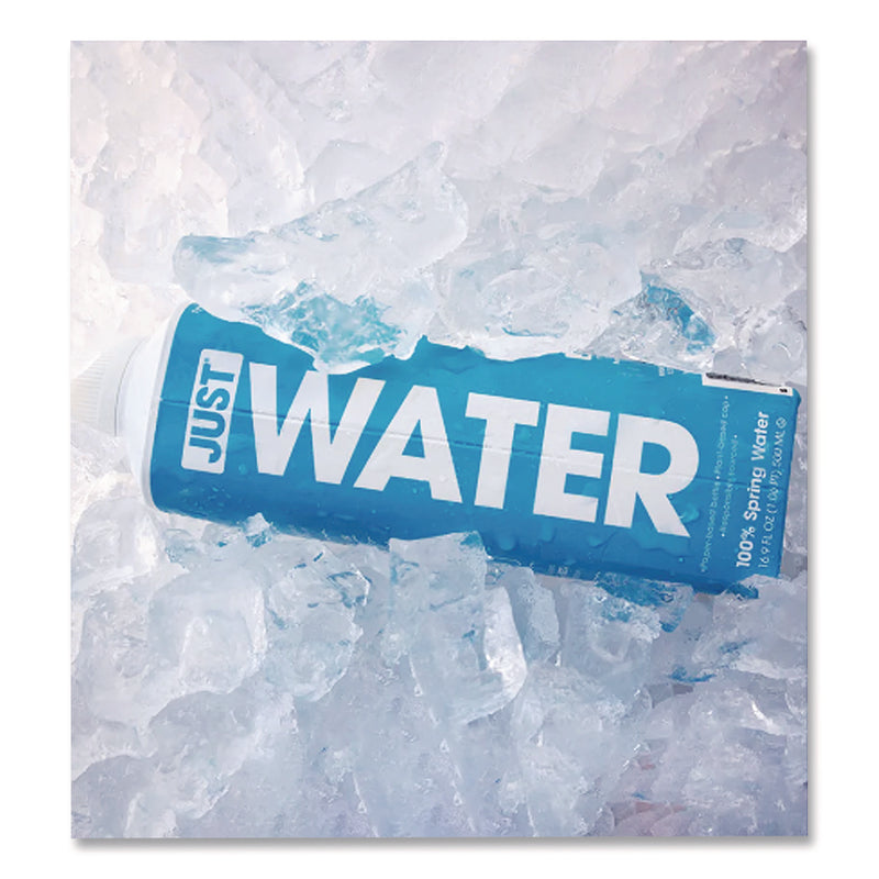 Just Water Spring Water, 16.9 oz, 12/Carton (DEZJGD00003) Case of 12