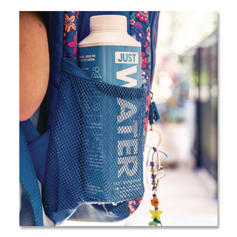 Just Water Spring Water, 16.9 oz, 12/Carton (DEZJGD00003) Case of 12